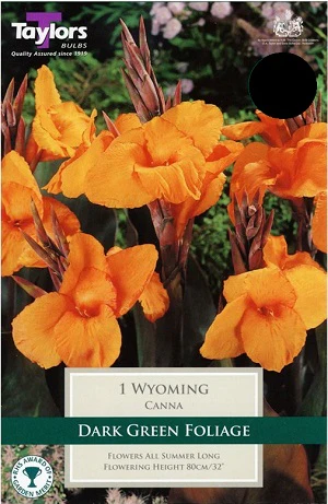 1 CANNA WYOMING I