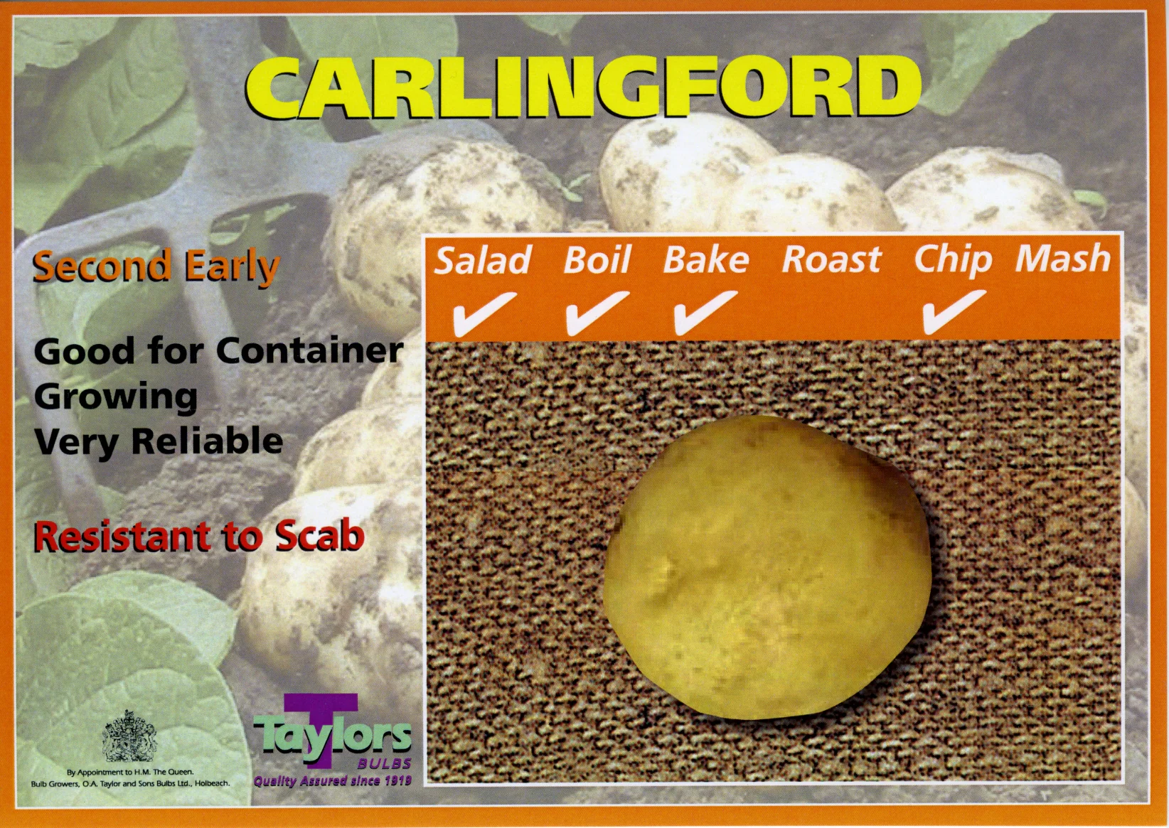 10 CARLINGFORD