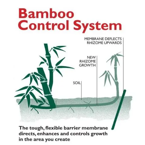 10m Bamboo Barrier - Image 3