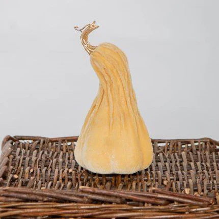 11X21CM Crooked Neck Cream Pumpkin