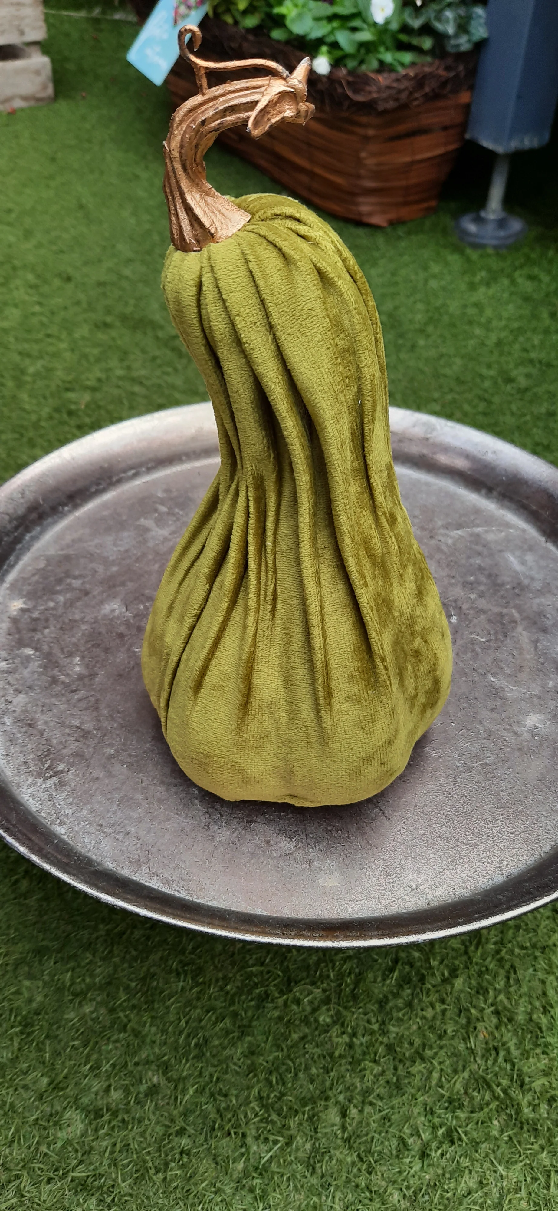 11X21CM Crooked Neck GREEN Pumpkin - Image 2