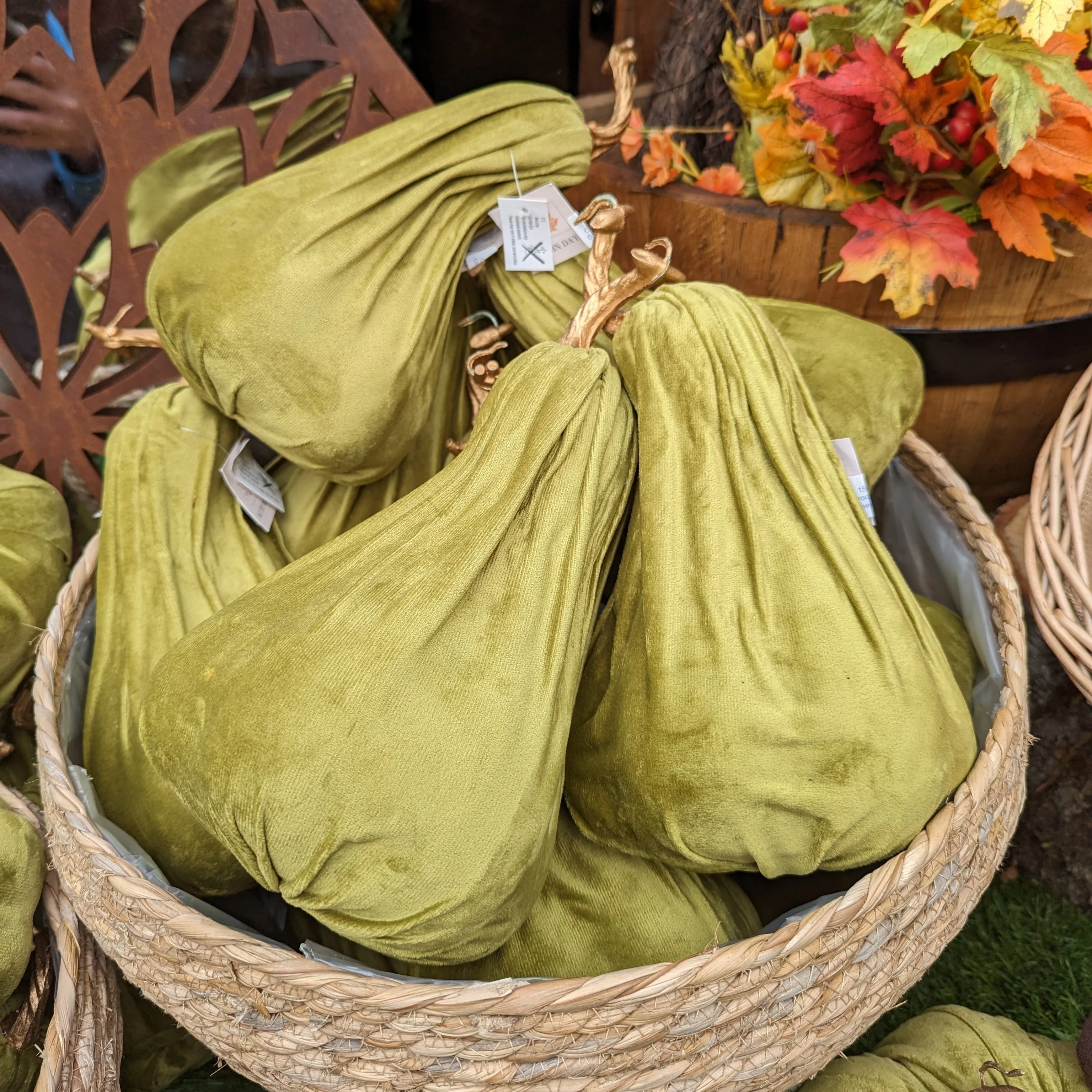 15X30CM Crooked Neck Green Pumpkin - Image 2