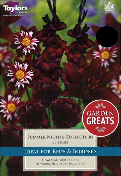 25 SUMMER NIGHTS COLLECTION