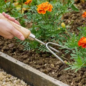 3 Prong Cultivator SS Hand - Image 2