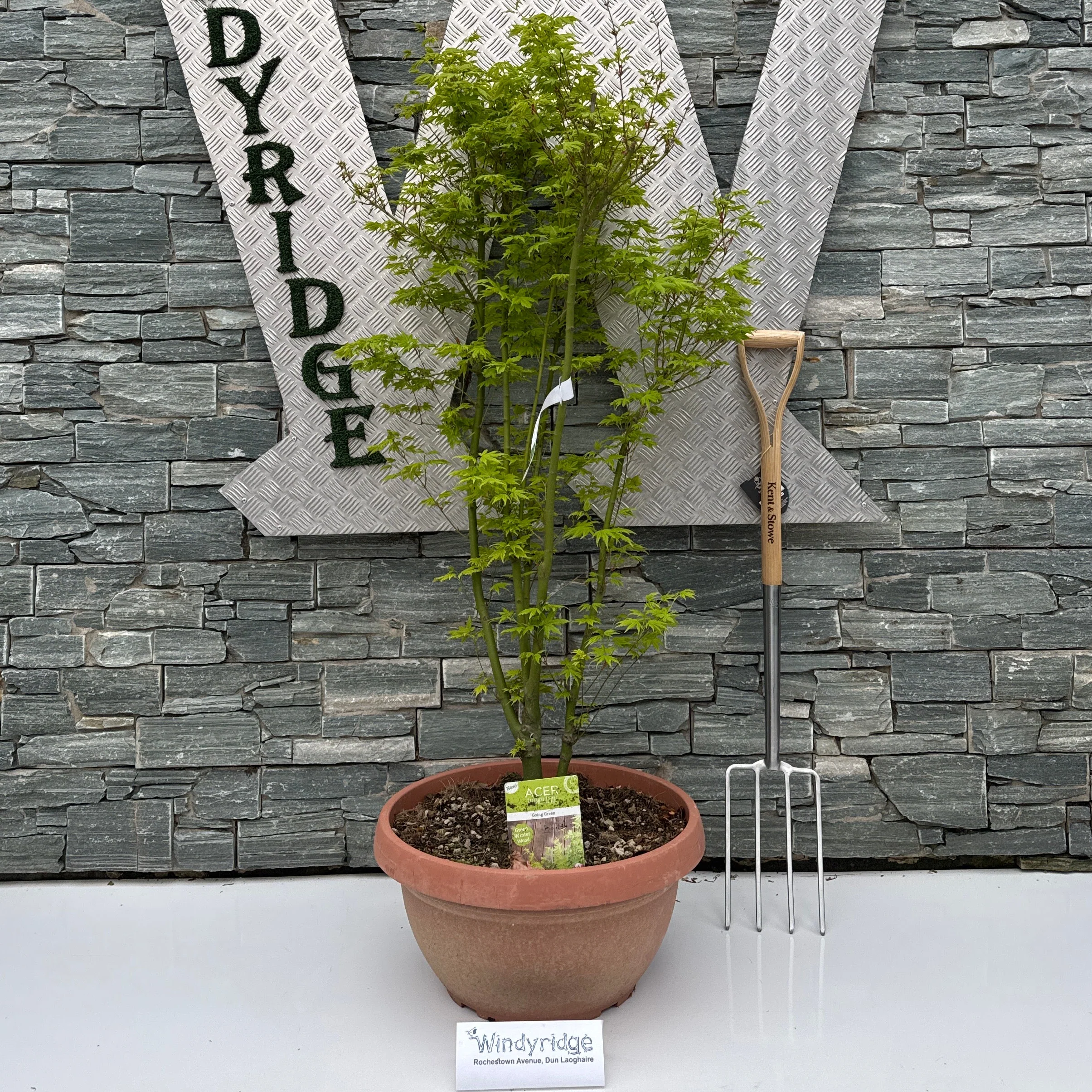 ACER PALM. GOING GREEN  CIOTOLA 55 LT 40 H 125 CM    CEPPAIA OMBRELLO
