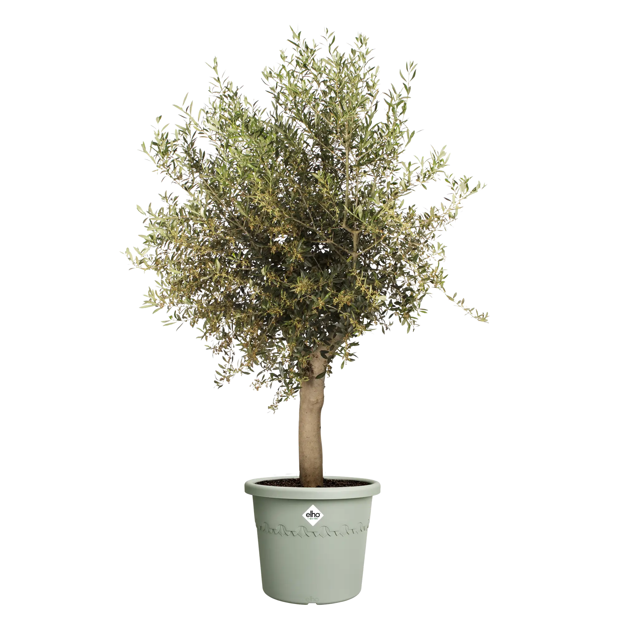 algarve cilindro thyme green Ø48cm - Image 2