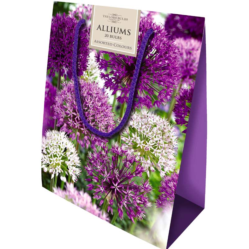 ALLIUM BAG