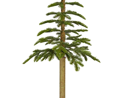 Alpine fir tree 4ft 120cm - Image 2