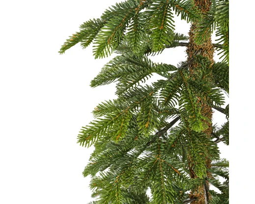 Alpine fir tree 6ft 180cm - Image 5