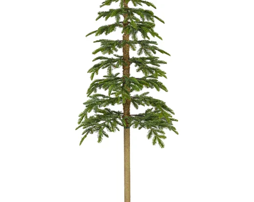 Alpine fir tree 6ft 180cm - Image 7