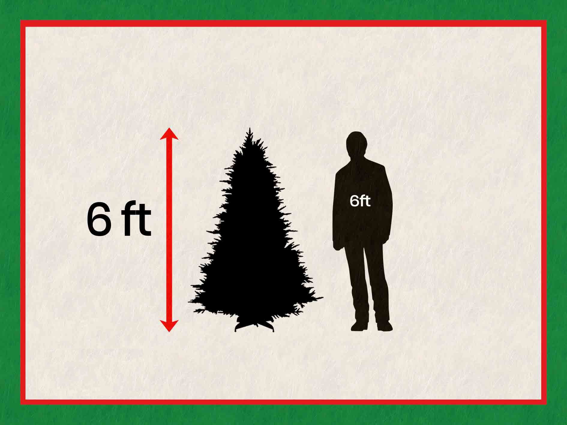 Alpine fir tree 6ft 180cm - Image 8