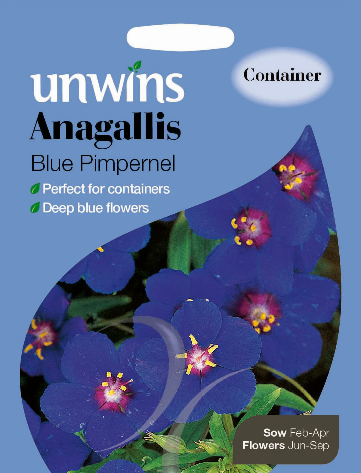 Anagallis Blue Pimpernel