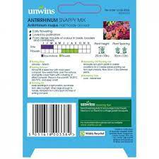 Antirrhinum  Snappy  Mix - Image 2