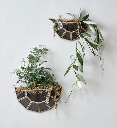 Api Wall Hung Planter  Antique Brass  Large 12 x 22 x 5cm
