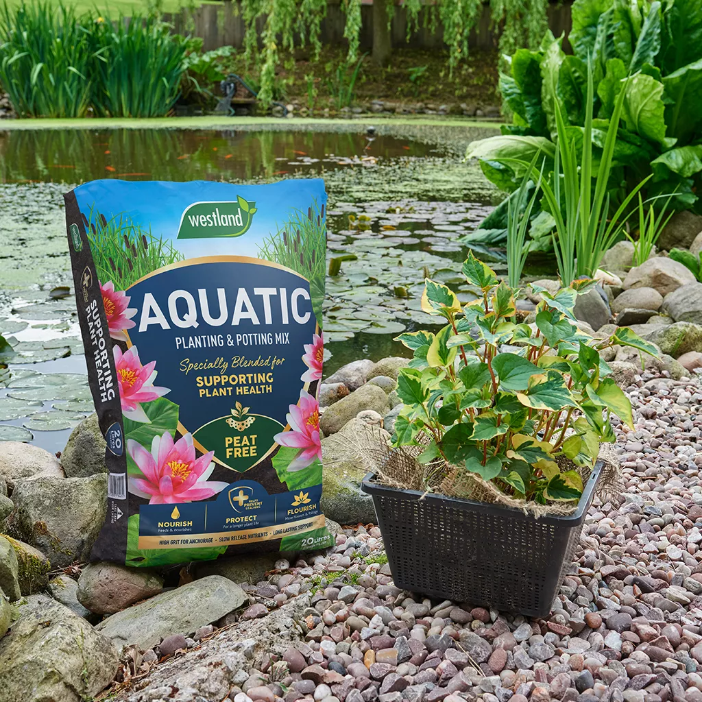 Aquatic Compost - Image 2