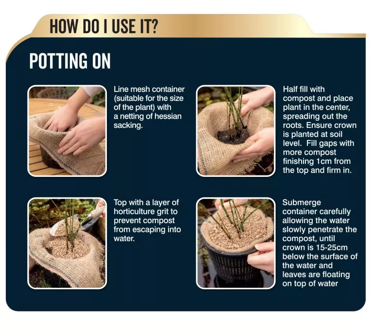Aquatic Compost - Image 3