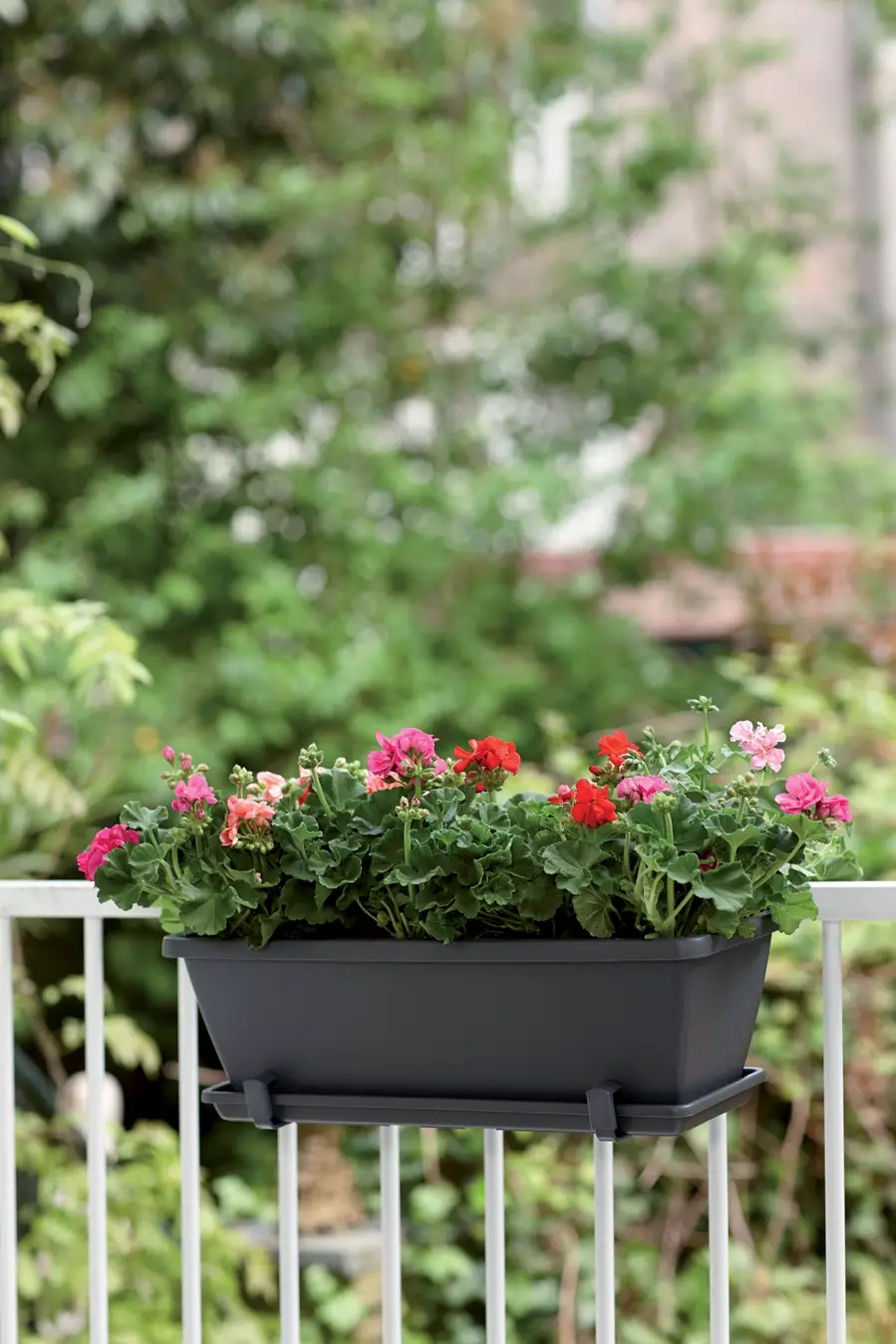 barcelona trough anthracite 70cm - Image 3