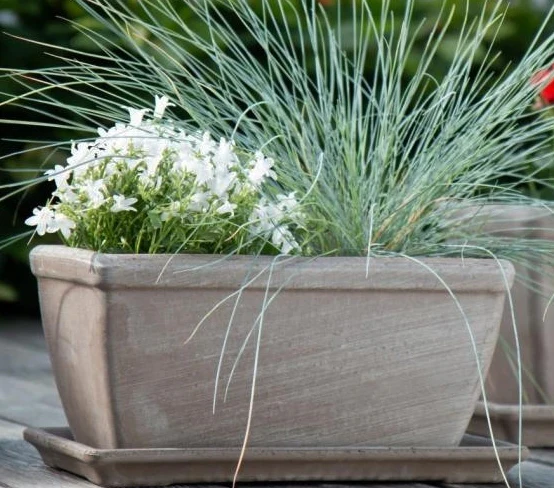 Basalt Trough 50cm x 19cm x 20cm
