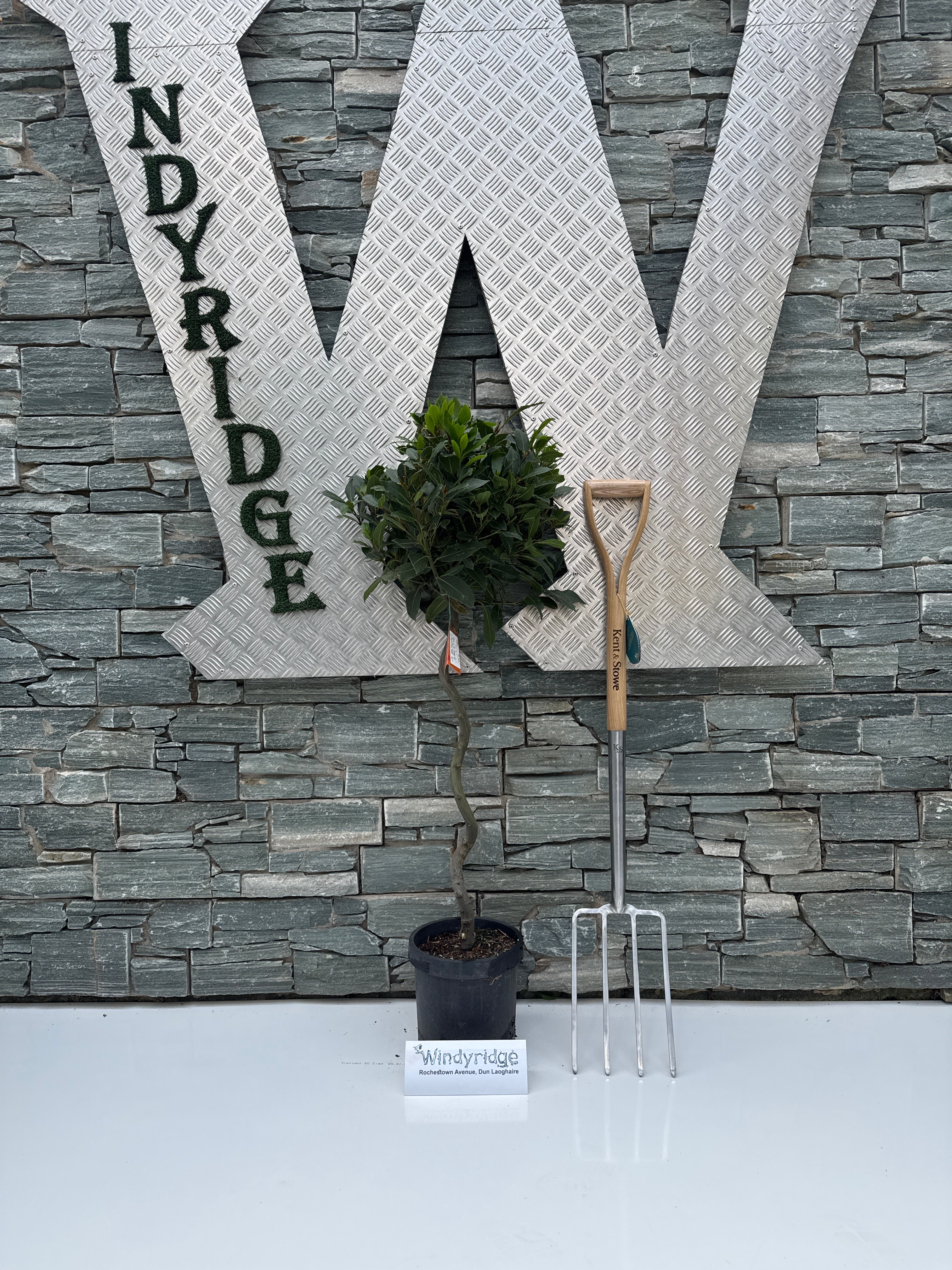 Bay Standard 1/2 Spiral Stem 35/40 Dia. pot 20cm - Image 4
