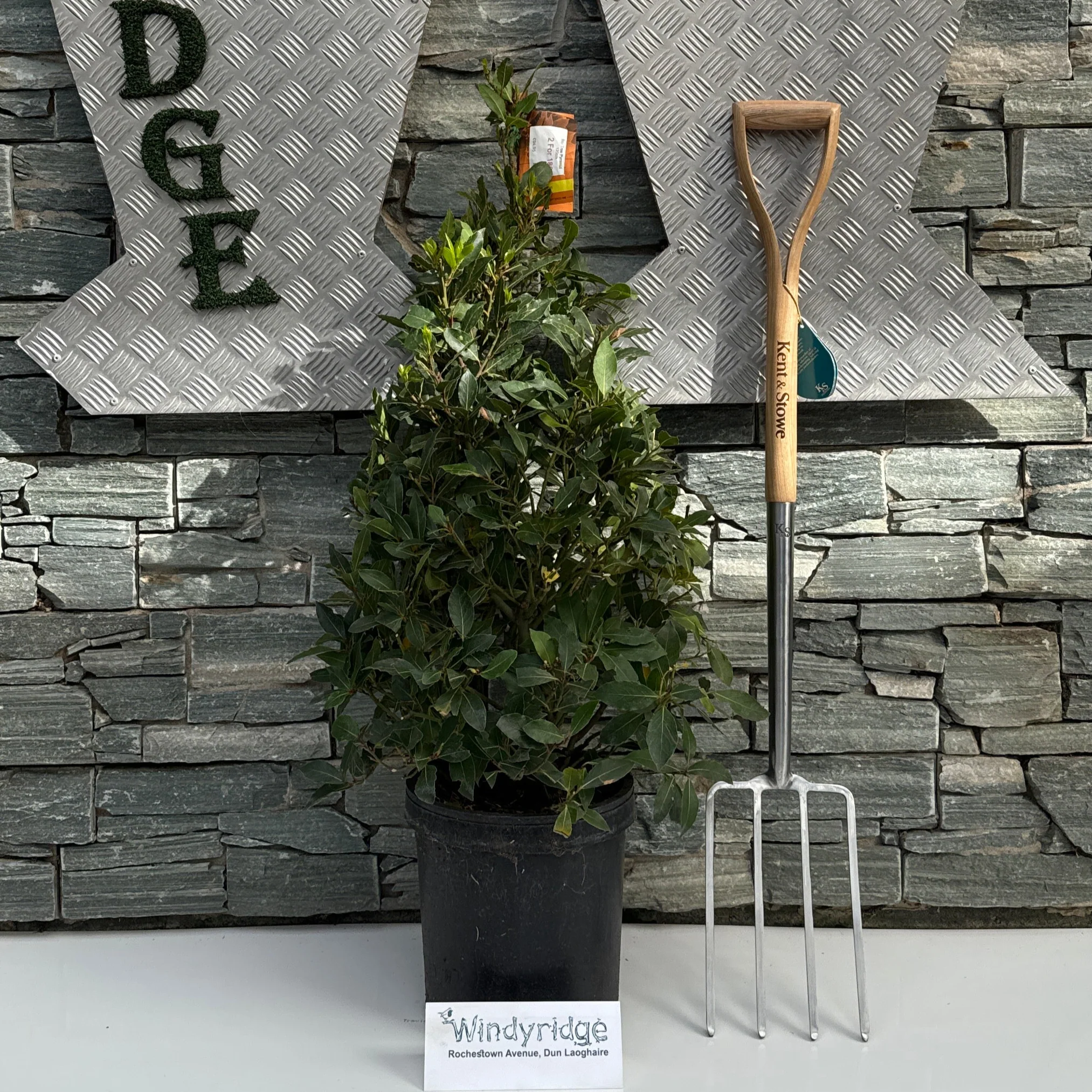Bay Tree Pyramid 120cm