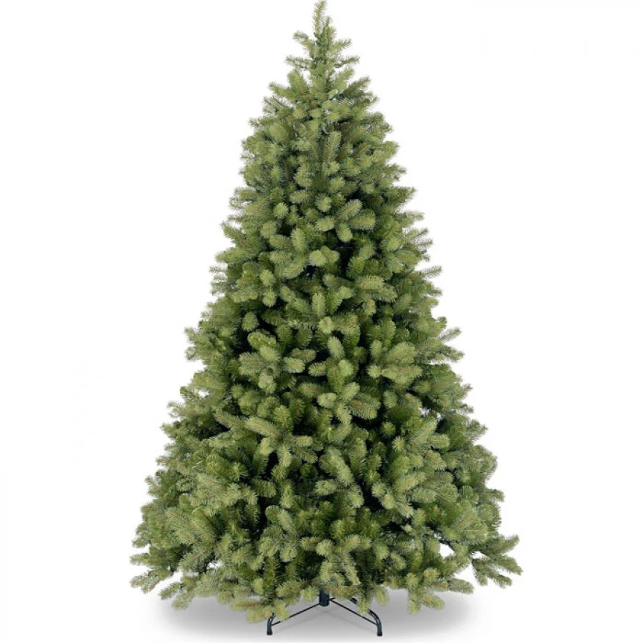 Bayberry Spruce 6.5ft Tree