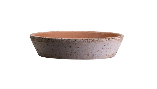 Bergs Rose, 30 cm, Saucer
