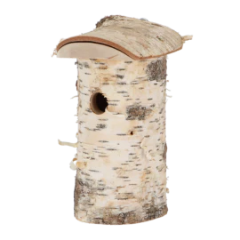 Bird house birch