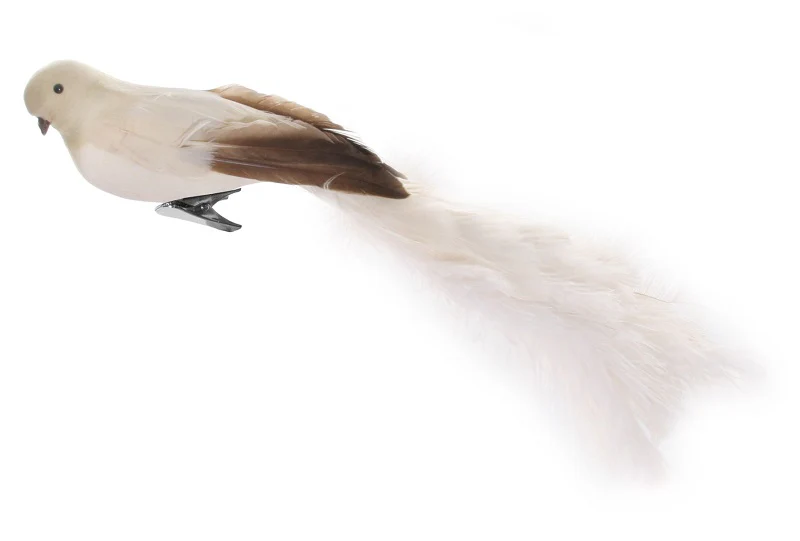 Bird with clip cream oistrich tail