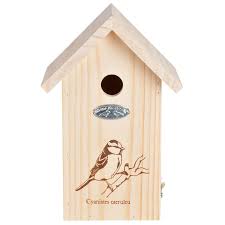 Birdhouse blue tit