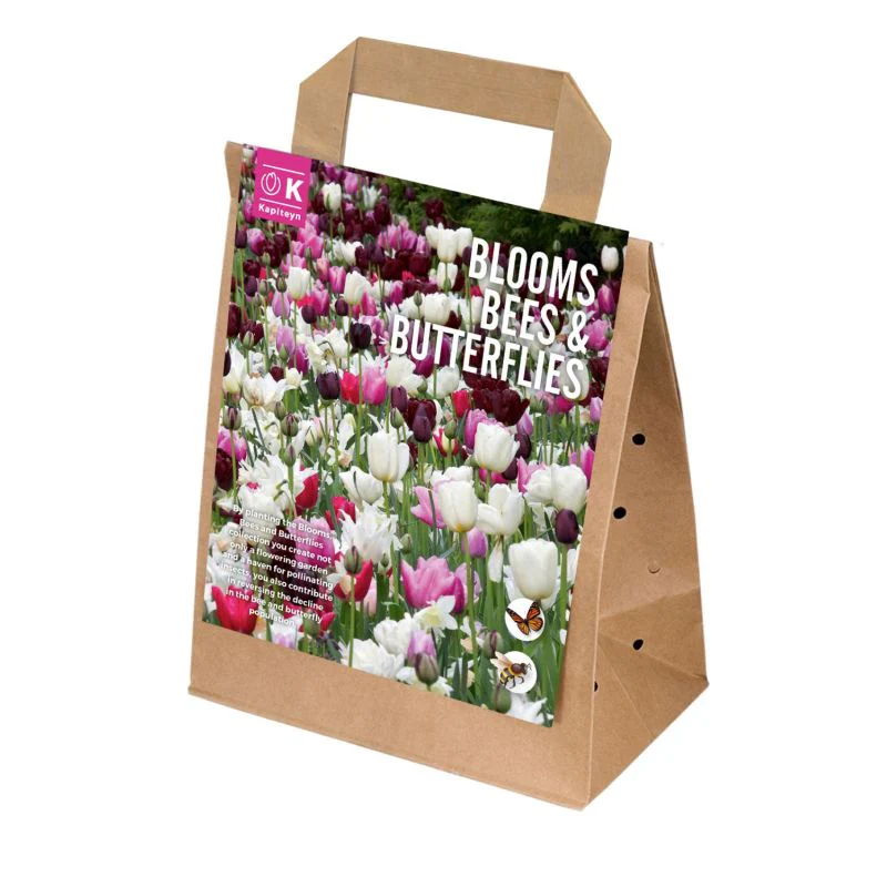 BLOOMS, BEES & BUTTERFLIES PINK x 25