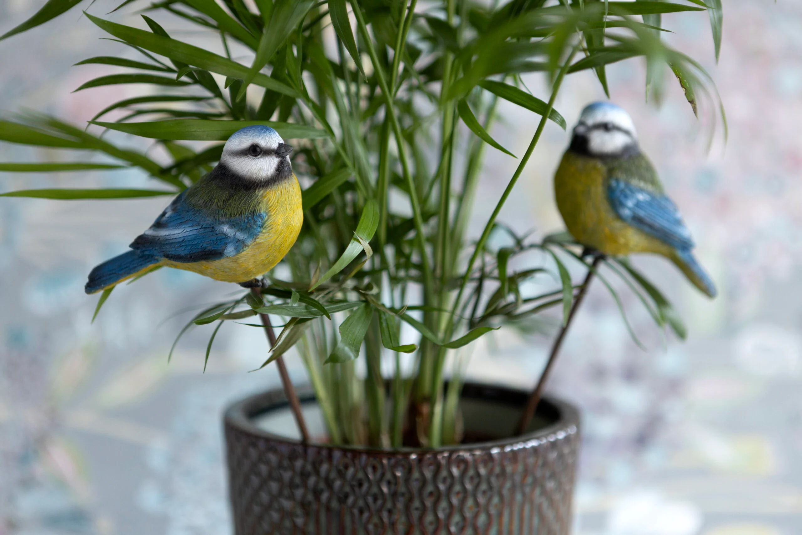Blue Tit on Stake - Image 2