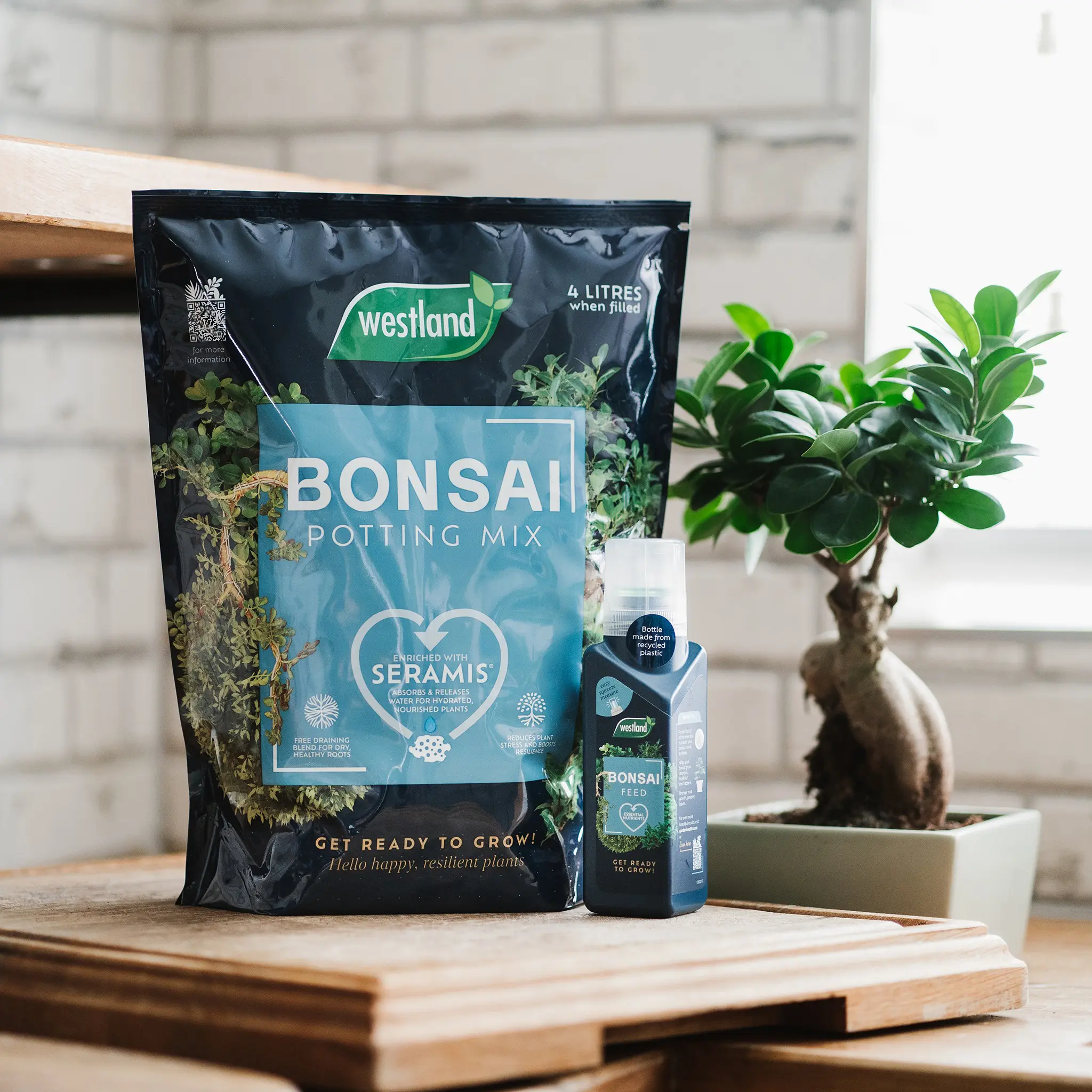 Bonsai Potting Mix (Enriched with Seramis) - Image 2