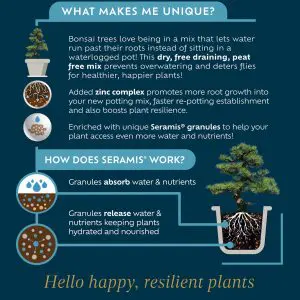 Bonsai Potting Mix (Enriched with Seramis) - Image 4