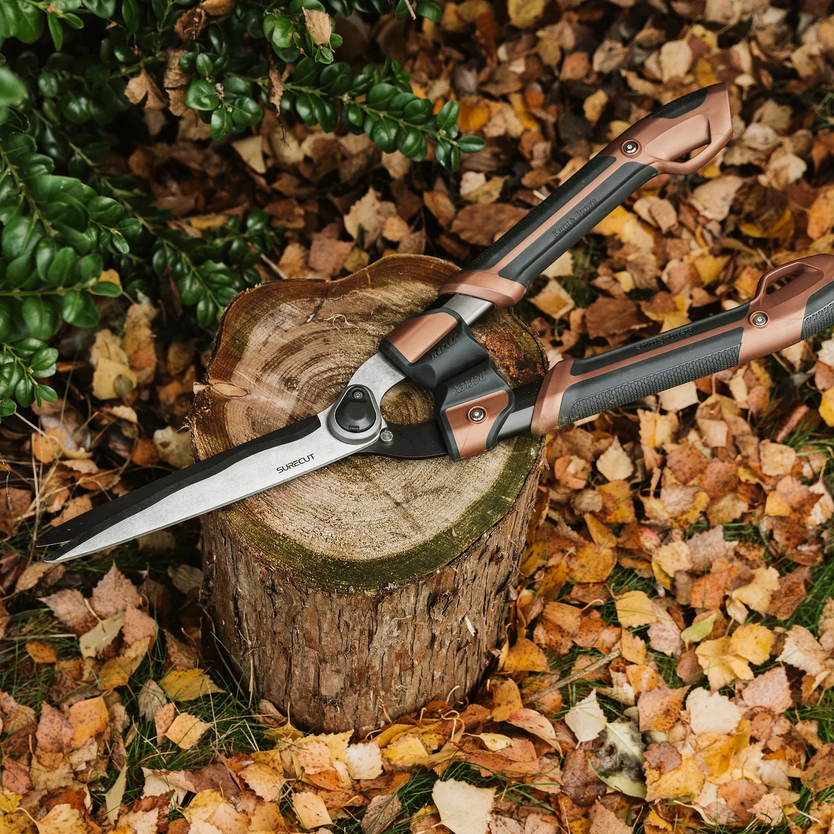 Box Shears KS Garden Life - Image 2
