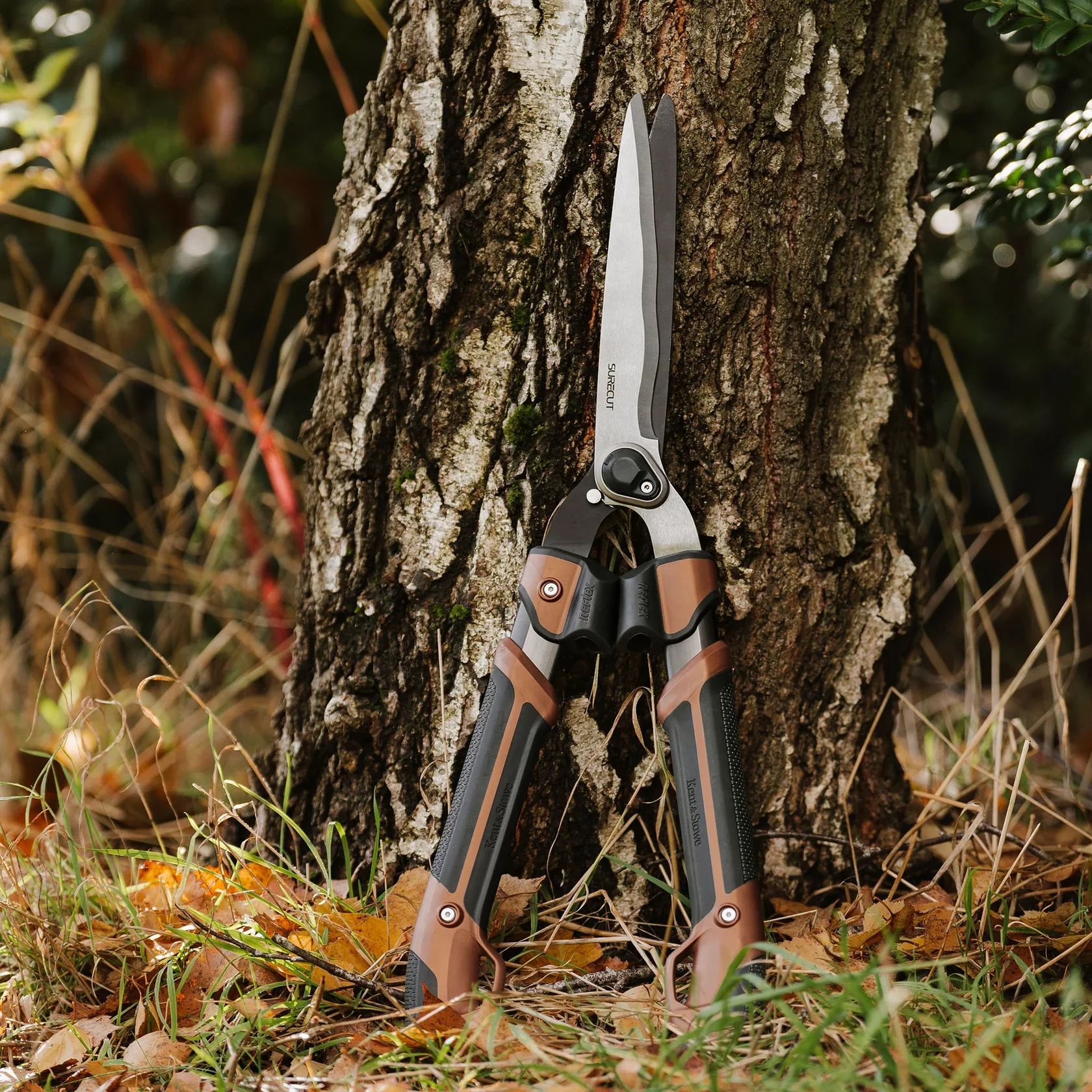 Box Shears KS Garden Life - Image 4