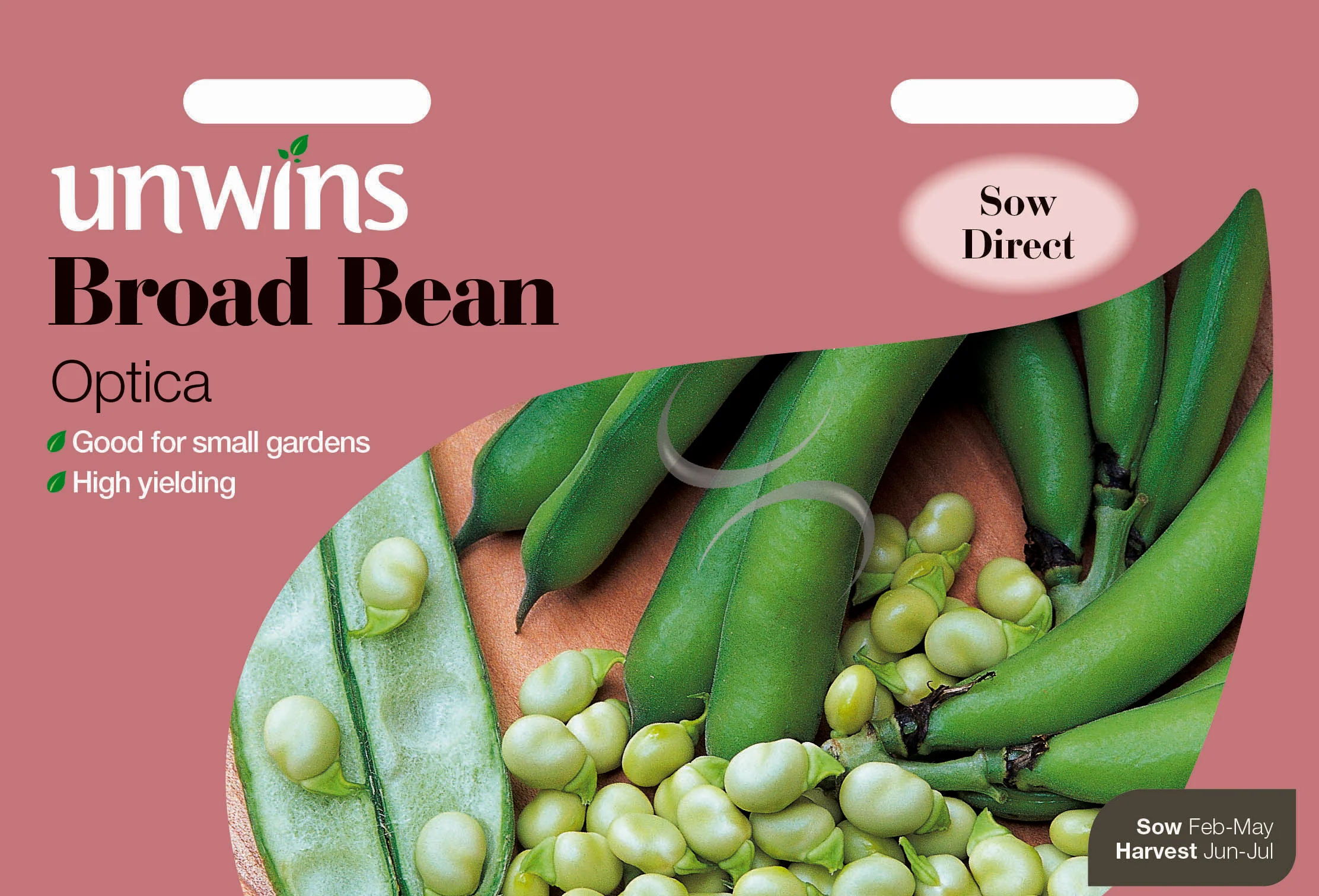 Broad Bean Optica