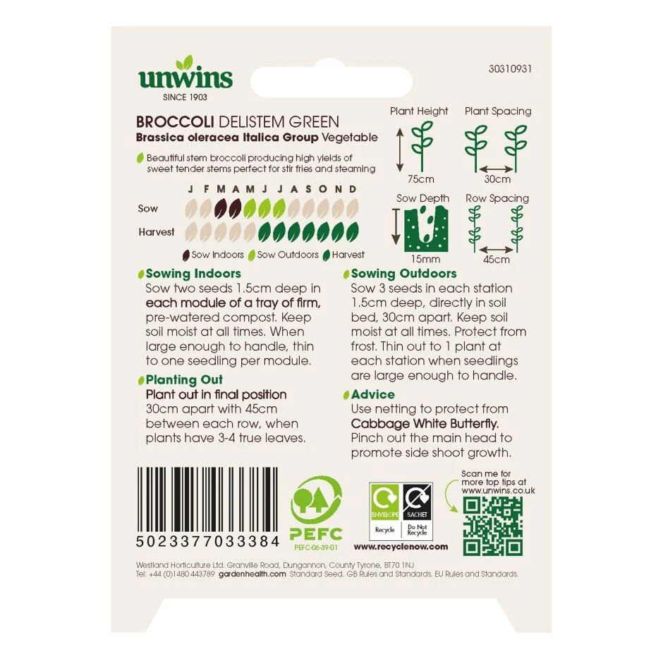 Broccoli Delistem Green - Image 2