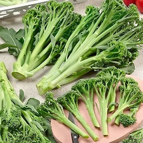 Broccoli Delistem Green - Image 3