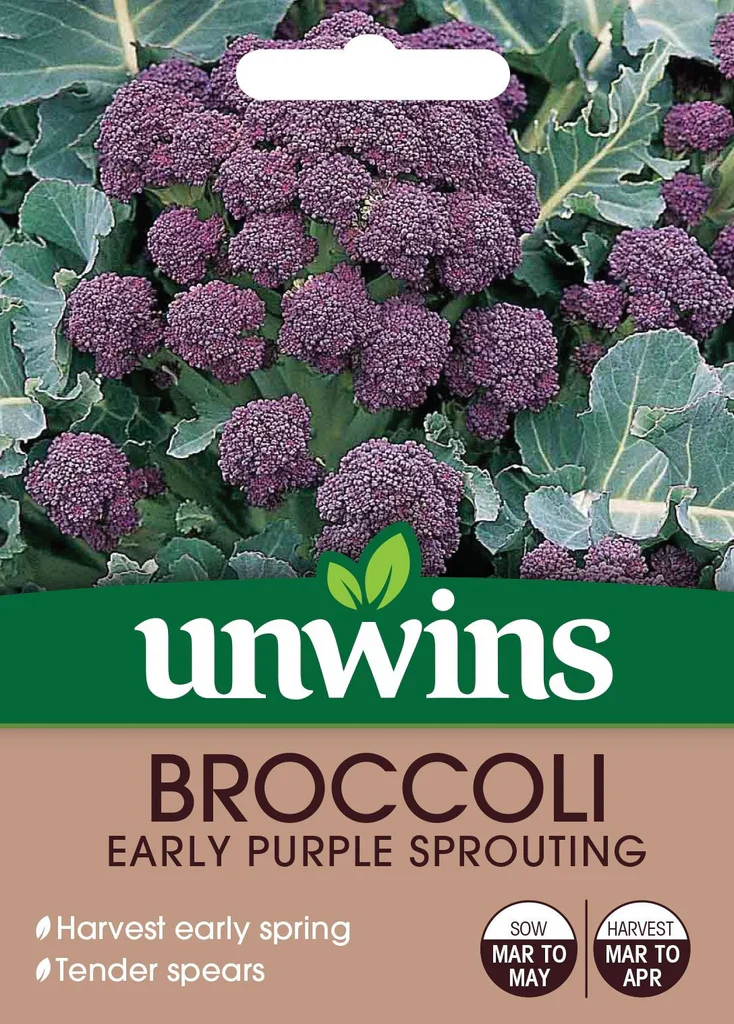 Broccoli Early Purple Sprouting