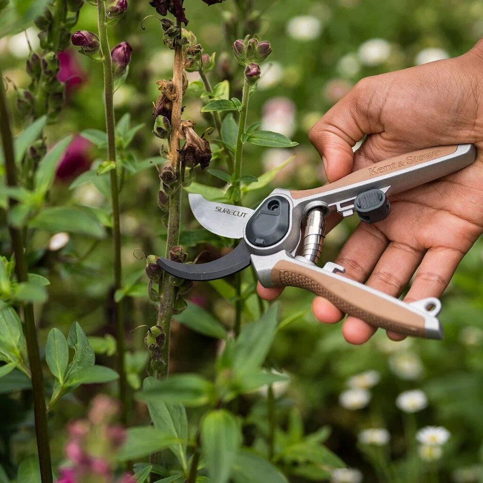 Bypass Secateurs 6.5 Garden Life - Image 2