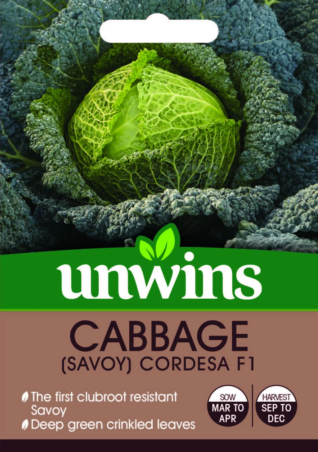 Cabbage (Savoy) Cordesa F1