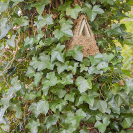 Camouflage nesting box - Image 2