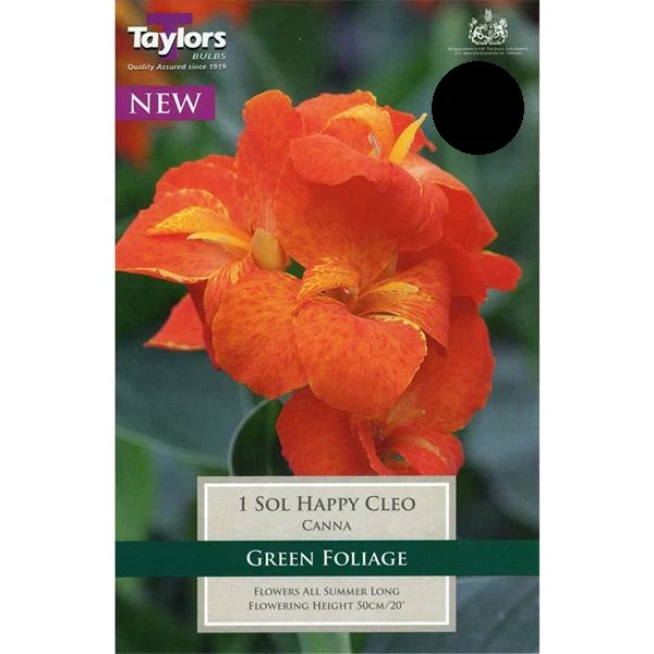 CANNA SOL HAPPY CLEO