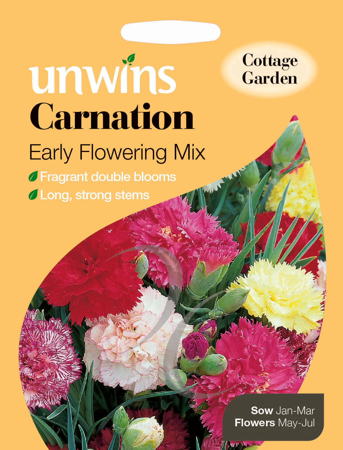 Carnation Early Flowering Mix