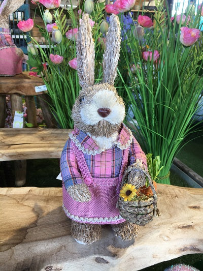 CARROT PATCH MED STDING BUNNY