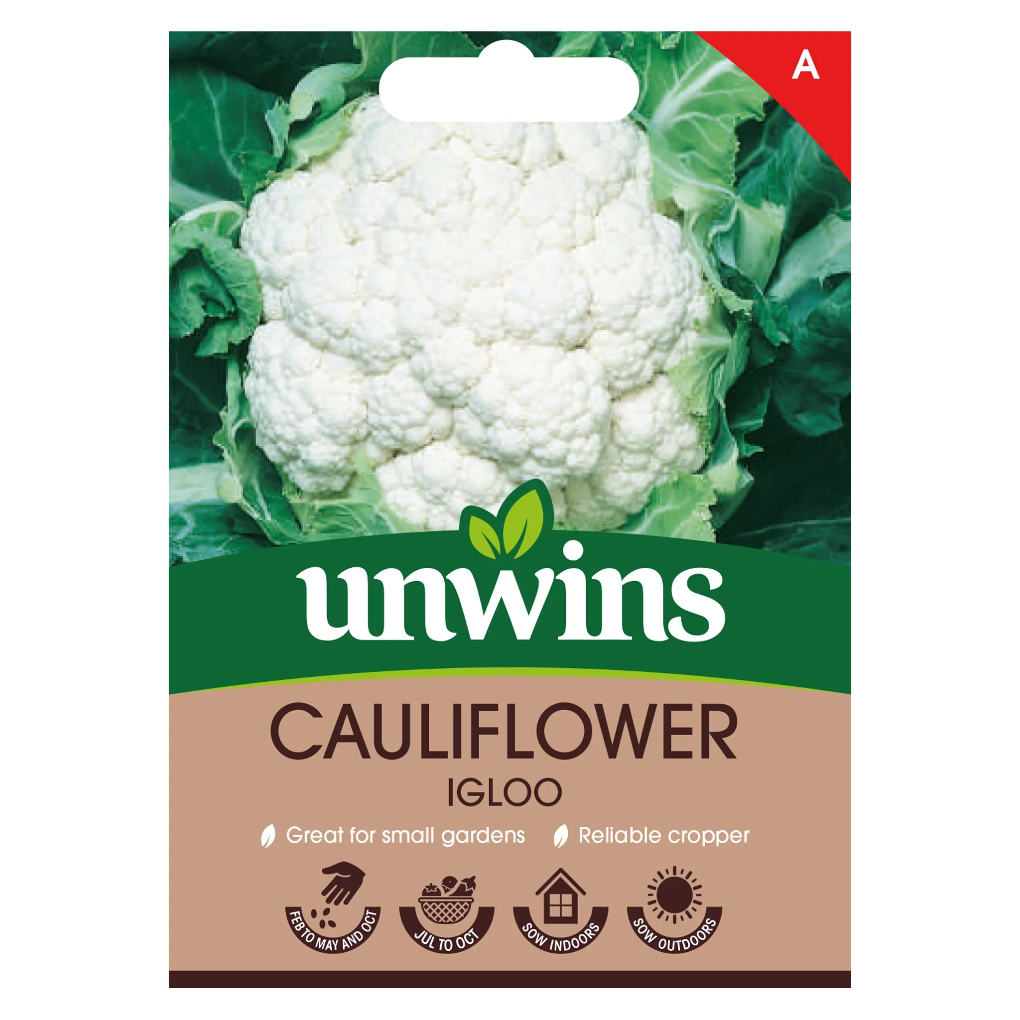 Cauliflower Igloo