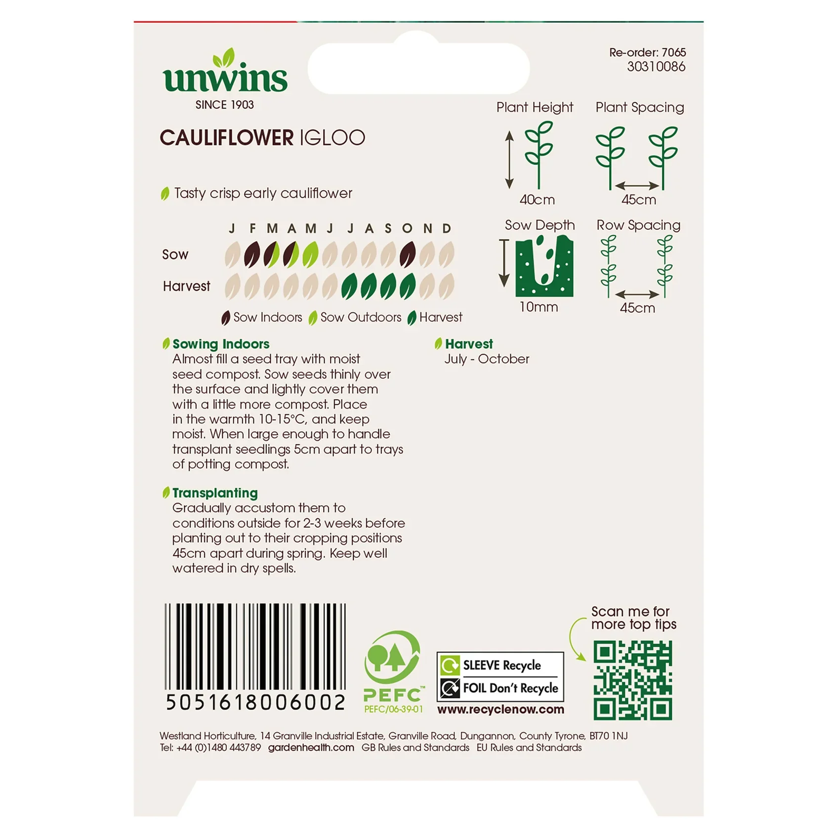 Cauliflower Igloo - Image 3