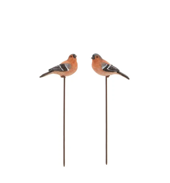 Chaffinch on Stake