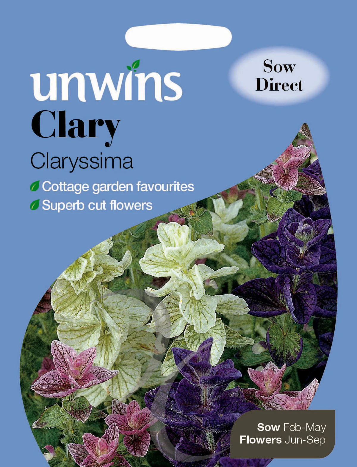 Clary Claryssima