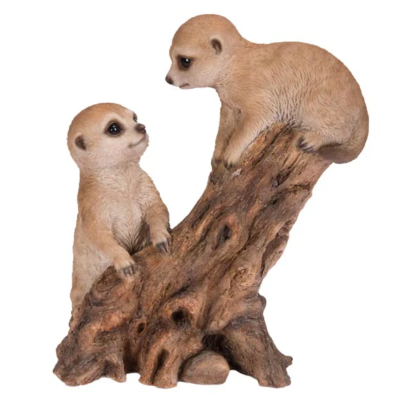 Climbing Baby Meerkats B